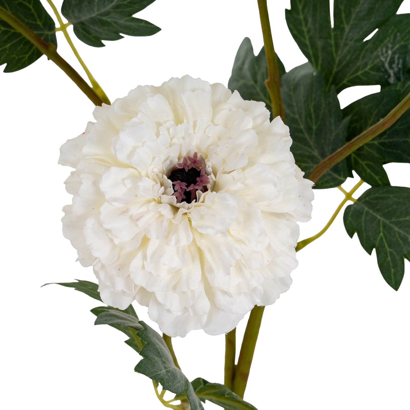 White African Marigold Large Spray_5791