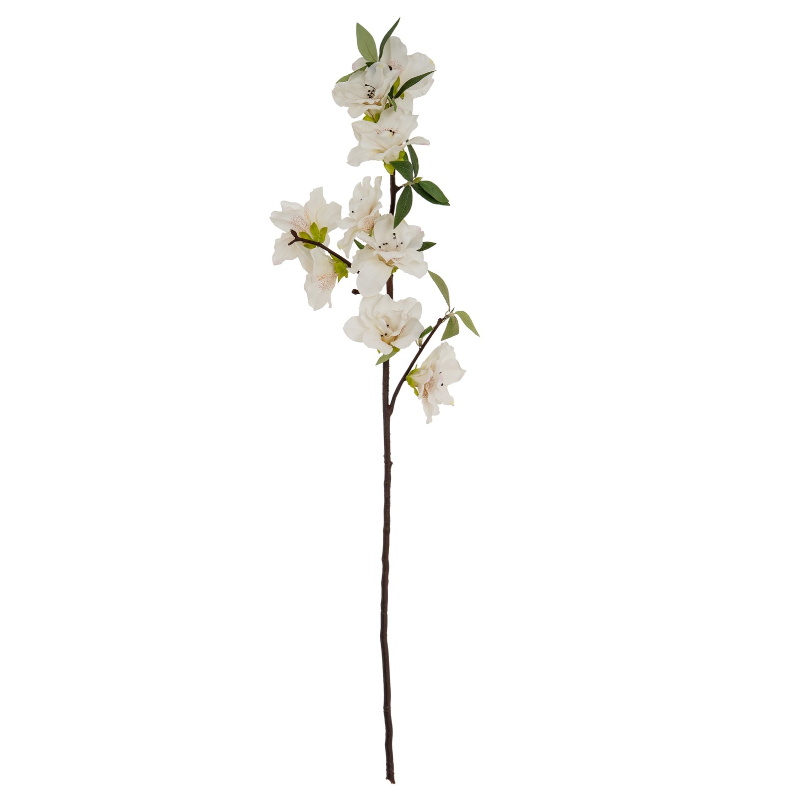 White Bloom Large Spray_5806