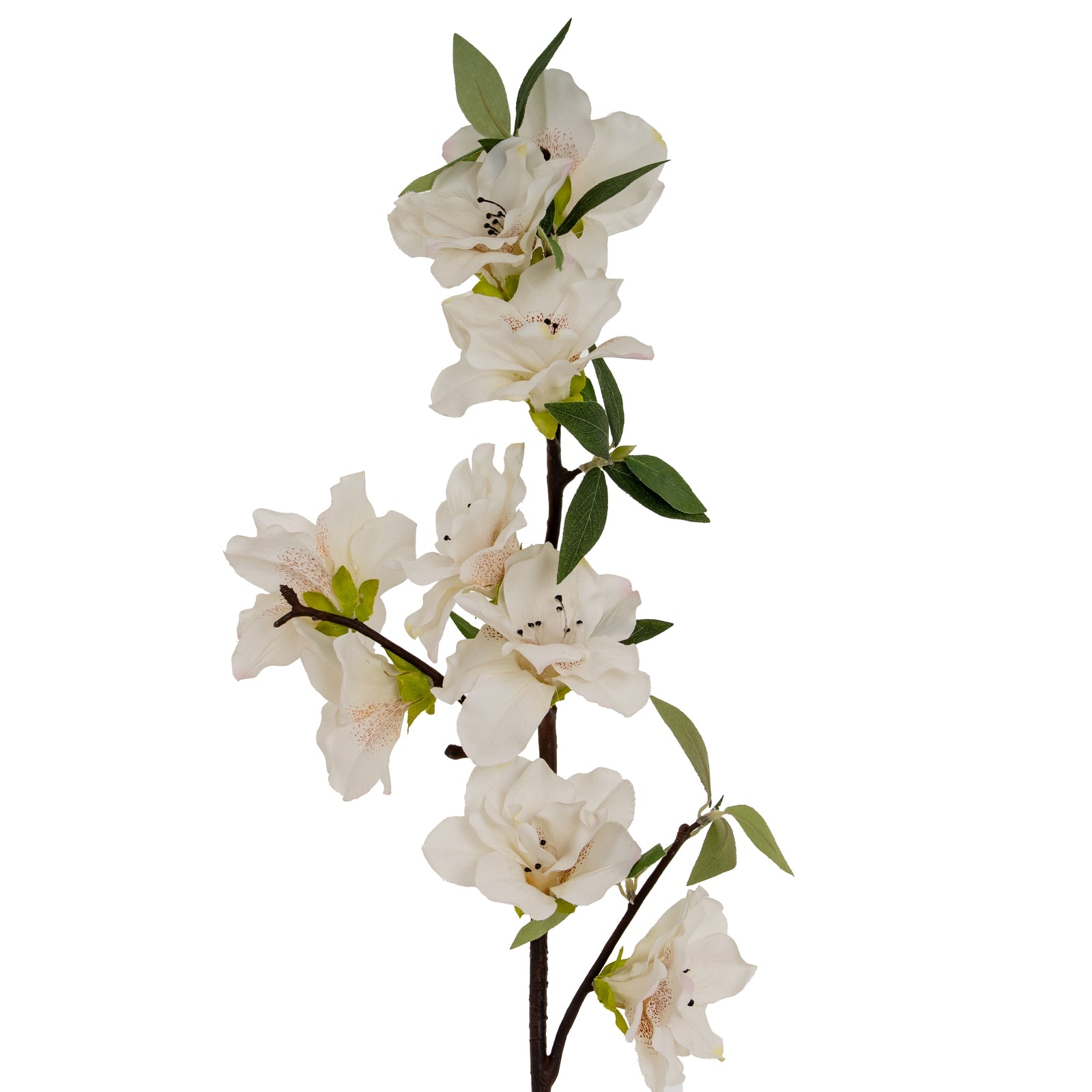 White Bloom Large Spray_5805