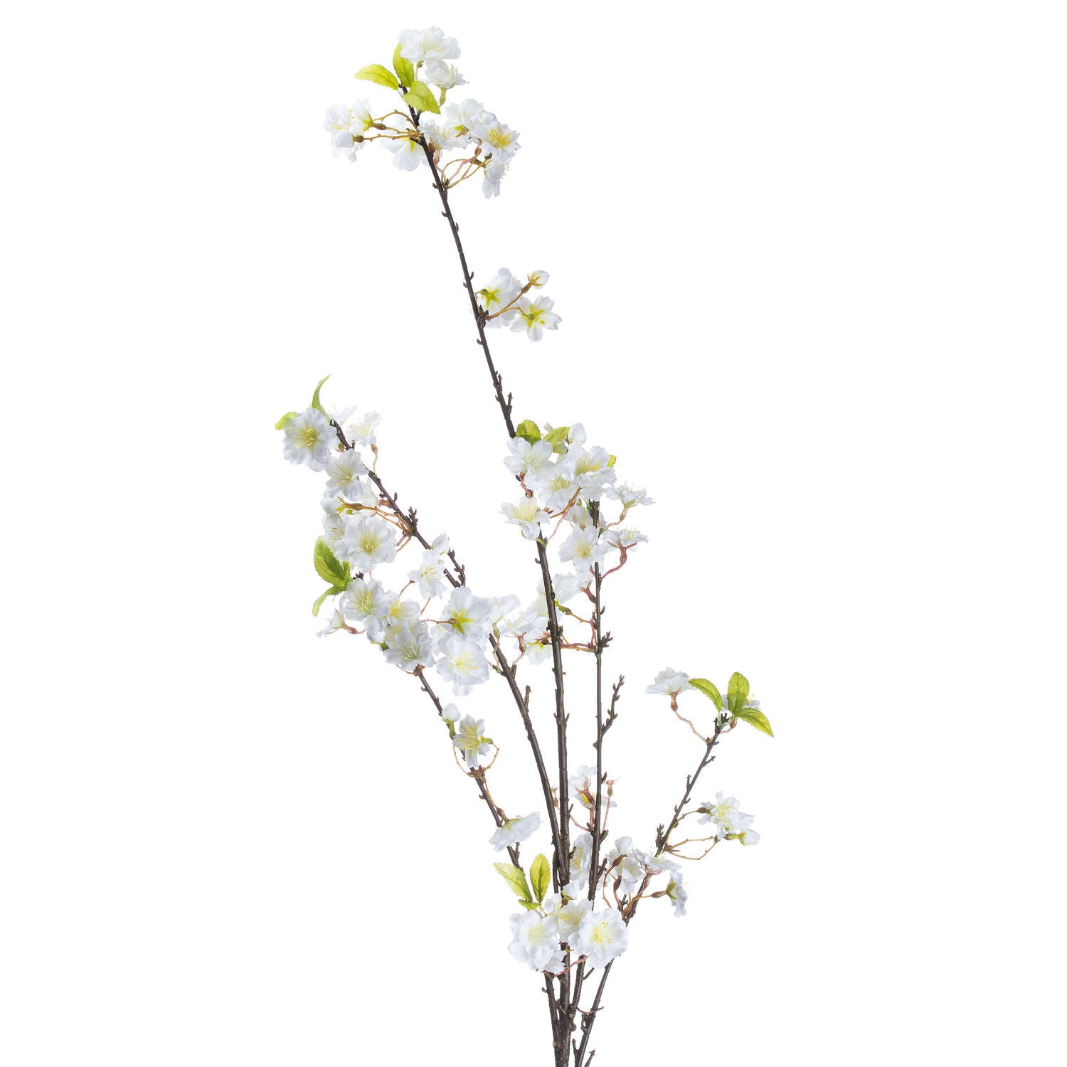 White Cherry Blossom Spray_5812