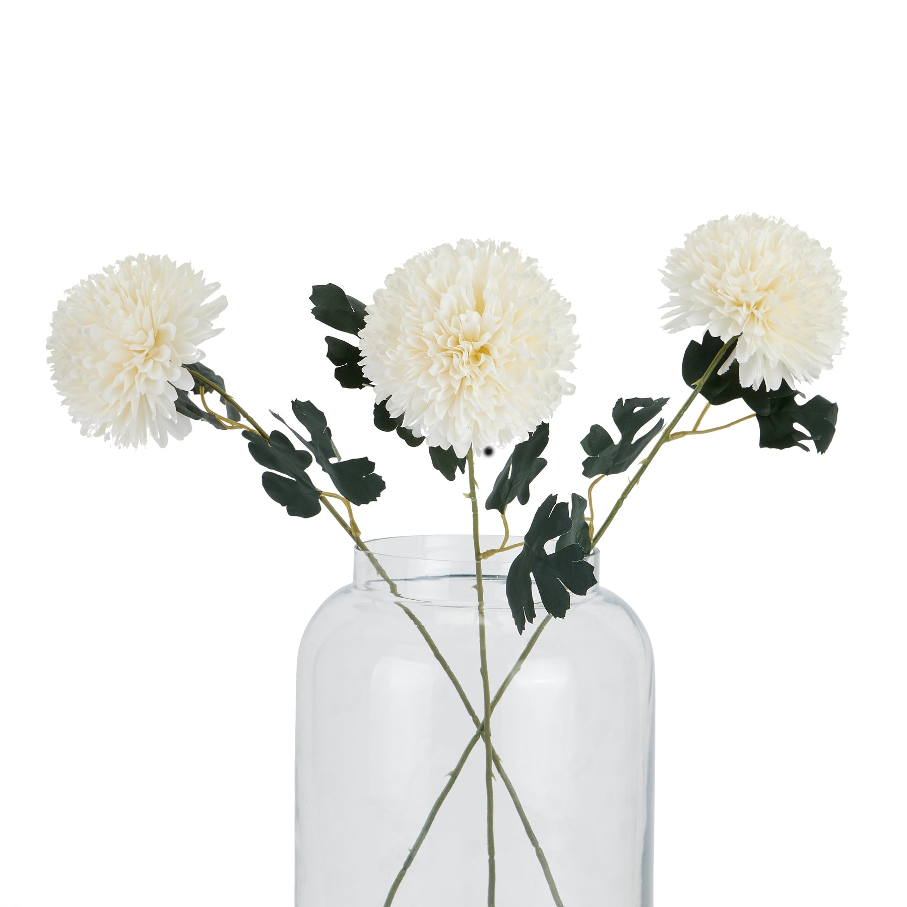 White Chrysanthemum_5817