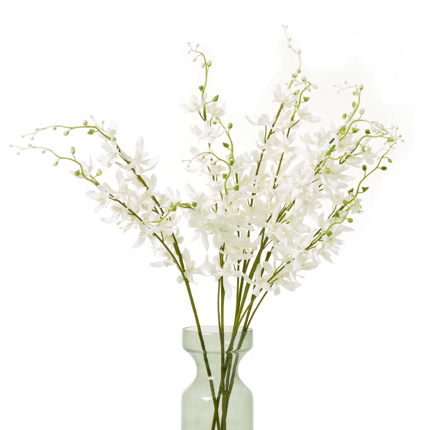 White Cymbidium Spray [cid:23870-b]