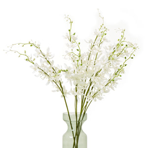 White Cymbidium Spray [cid:23870-b]