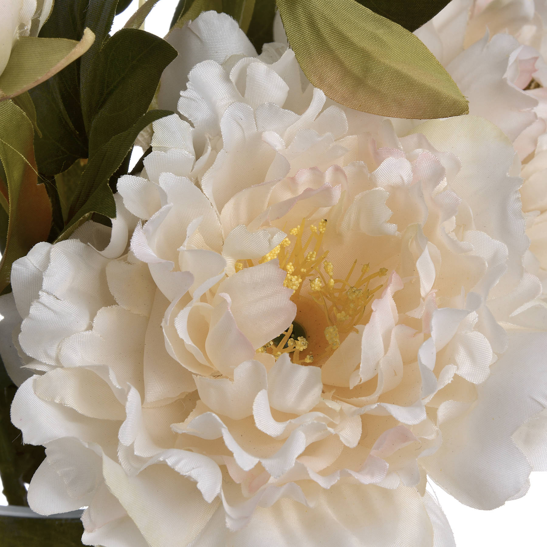 White Fashion Peony [cid:19034-d]
