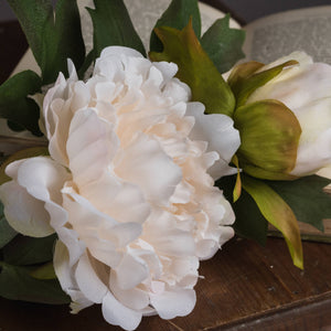 White Fashion Peony [cid:19034-b]