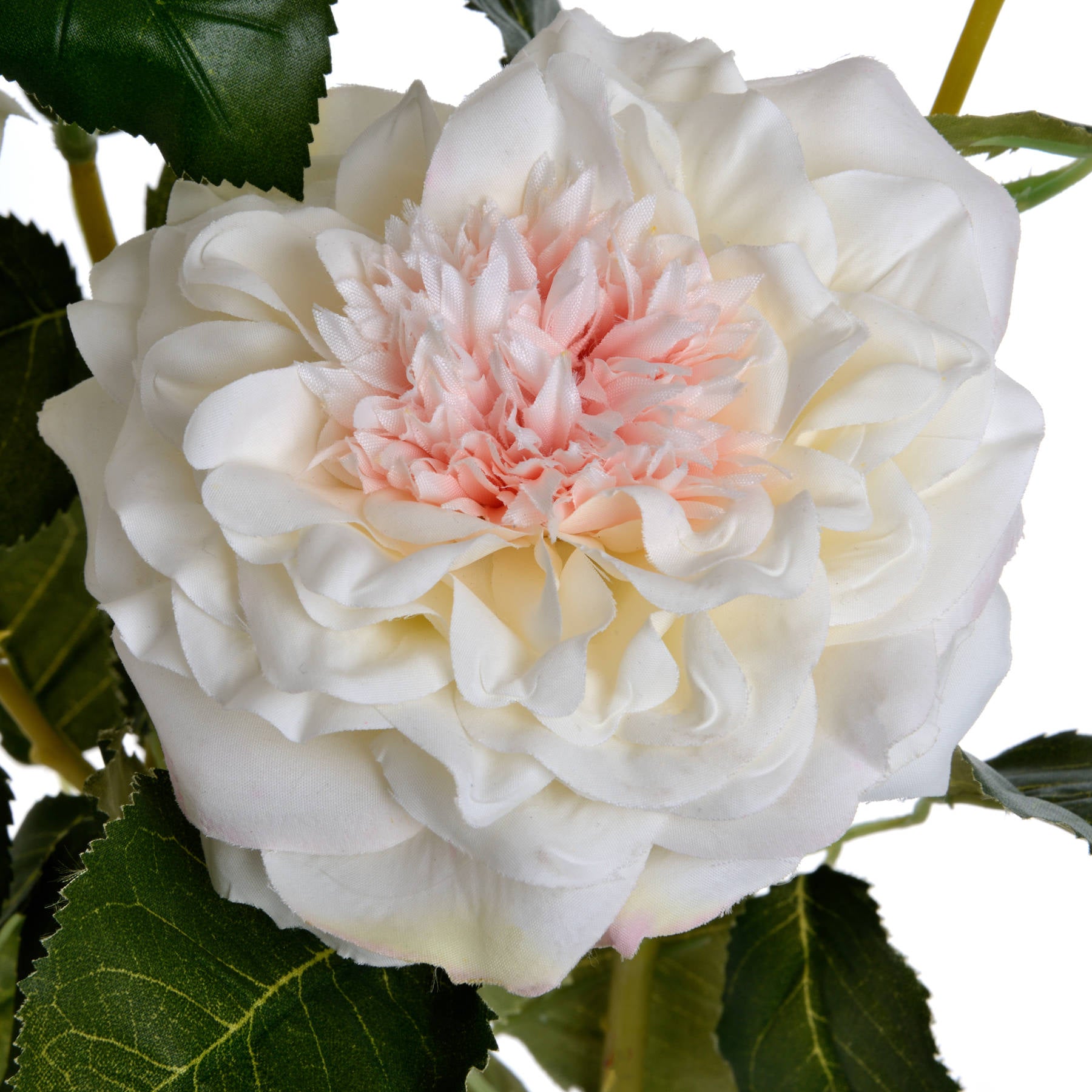 White Garden Rose Spray_5848