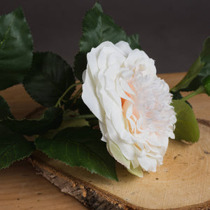 White Garden Rose Spray_5846