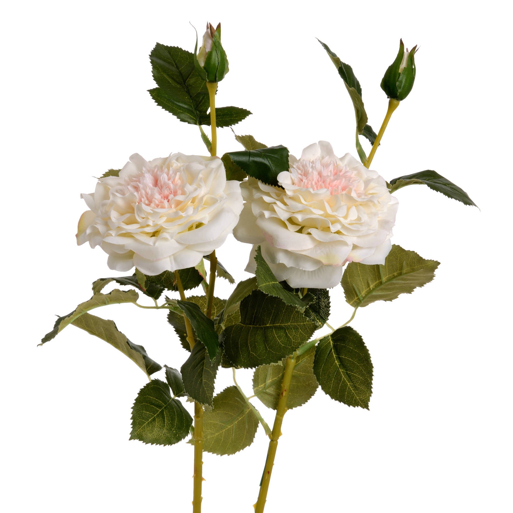 White Garden Rose Spray_5847