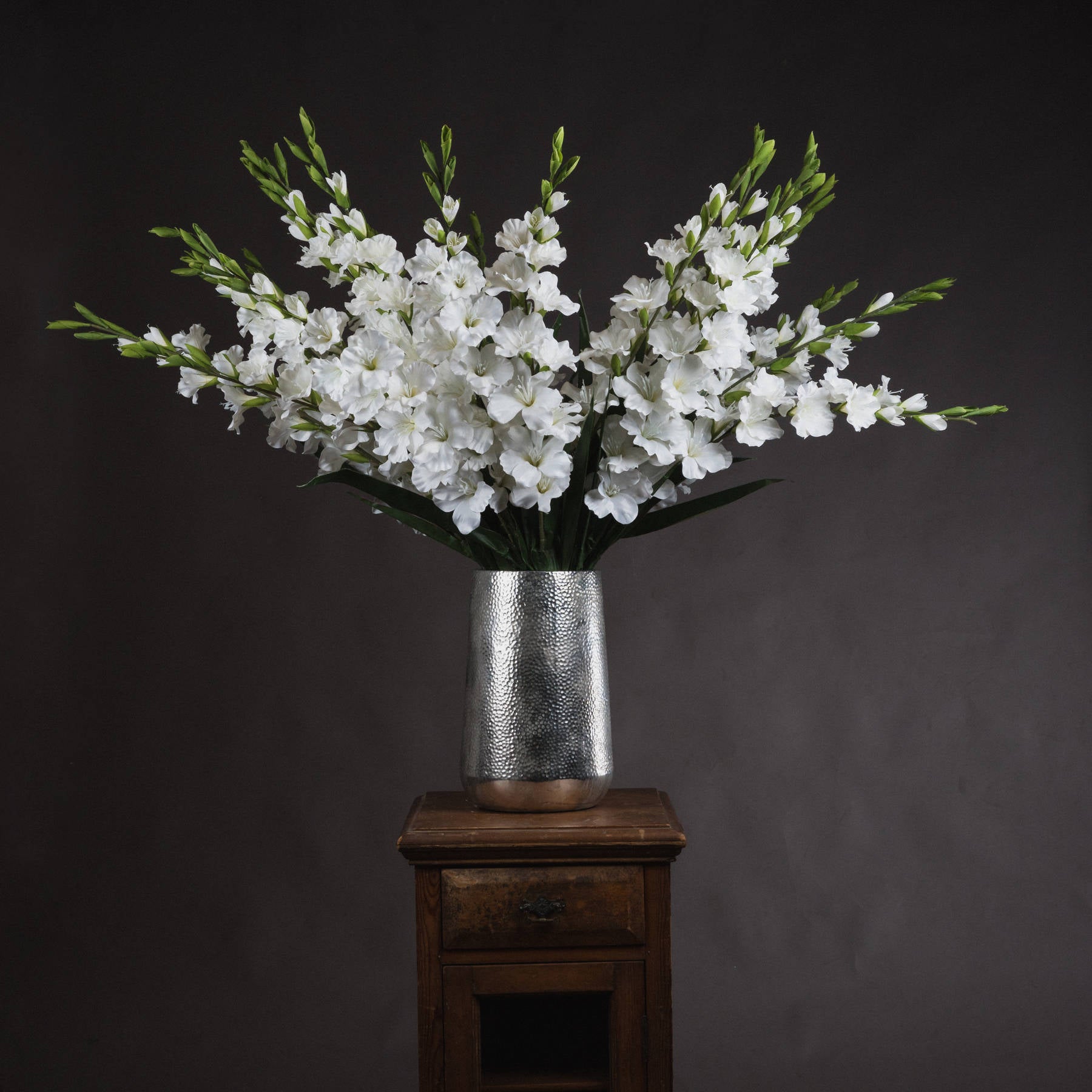 White Gladioli_5849