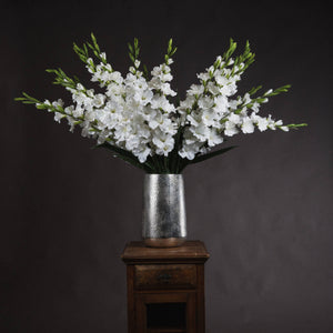 White Gladioli_5849