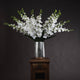 White Gladioli_5849