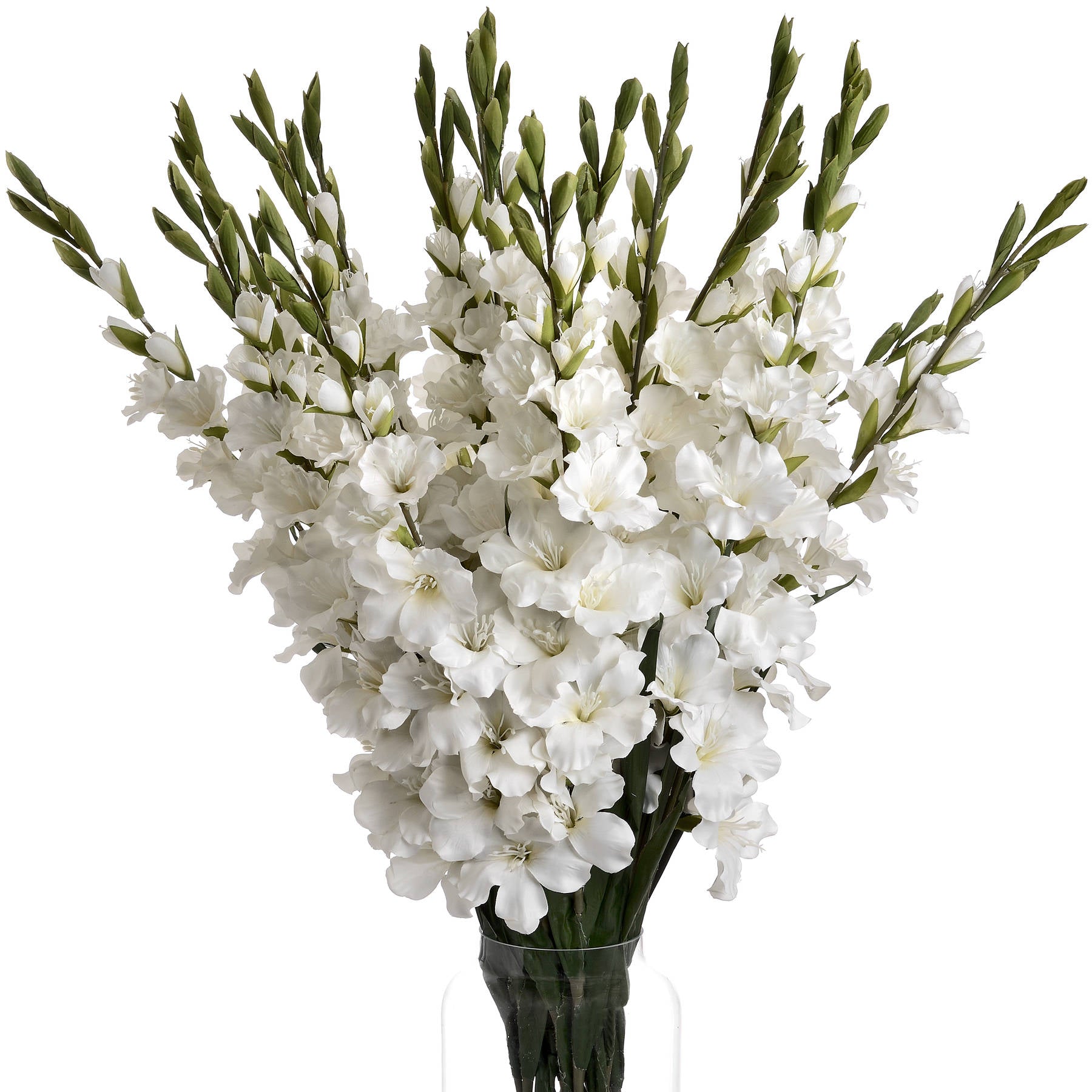 White Gladioli_5852