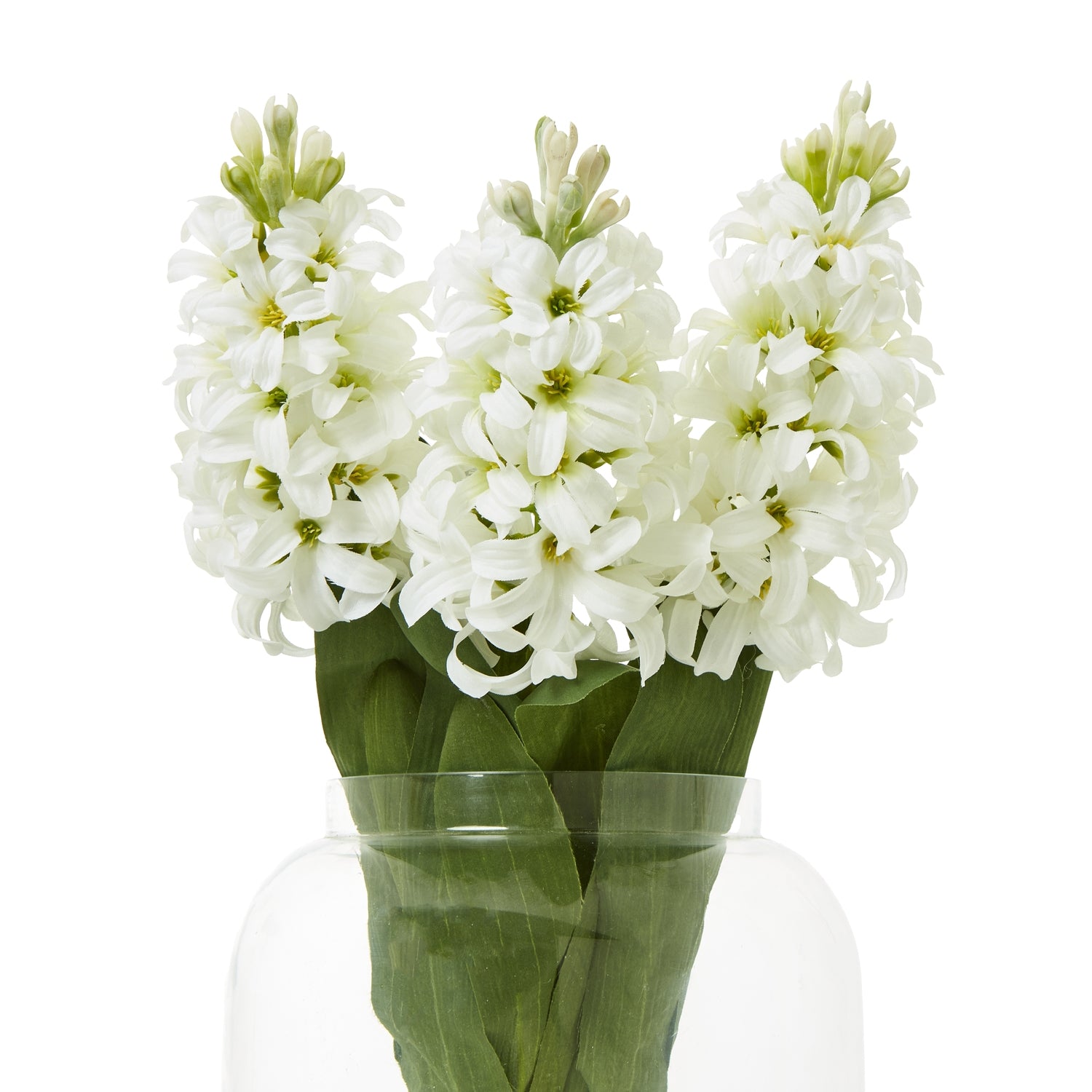 White Hyacinth Stem [cid:23876-b]