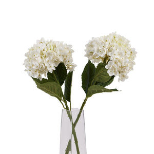 White Hydrangea Stem_5885