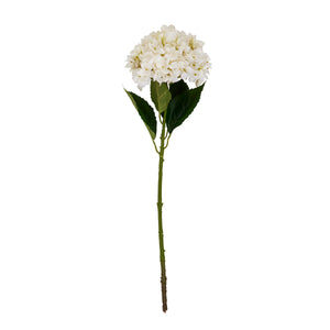 White Hydrangea Stem_5882