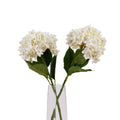 White Hydrangea Stem_5881