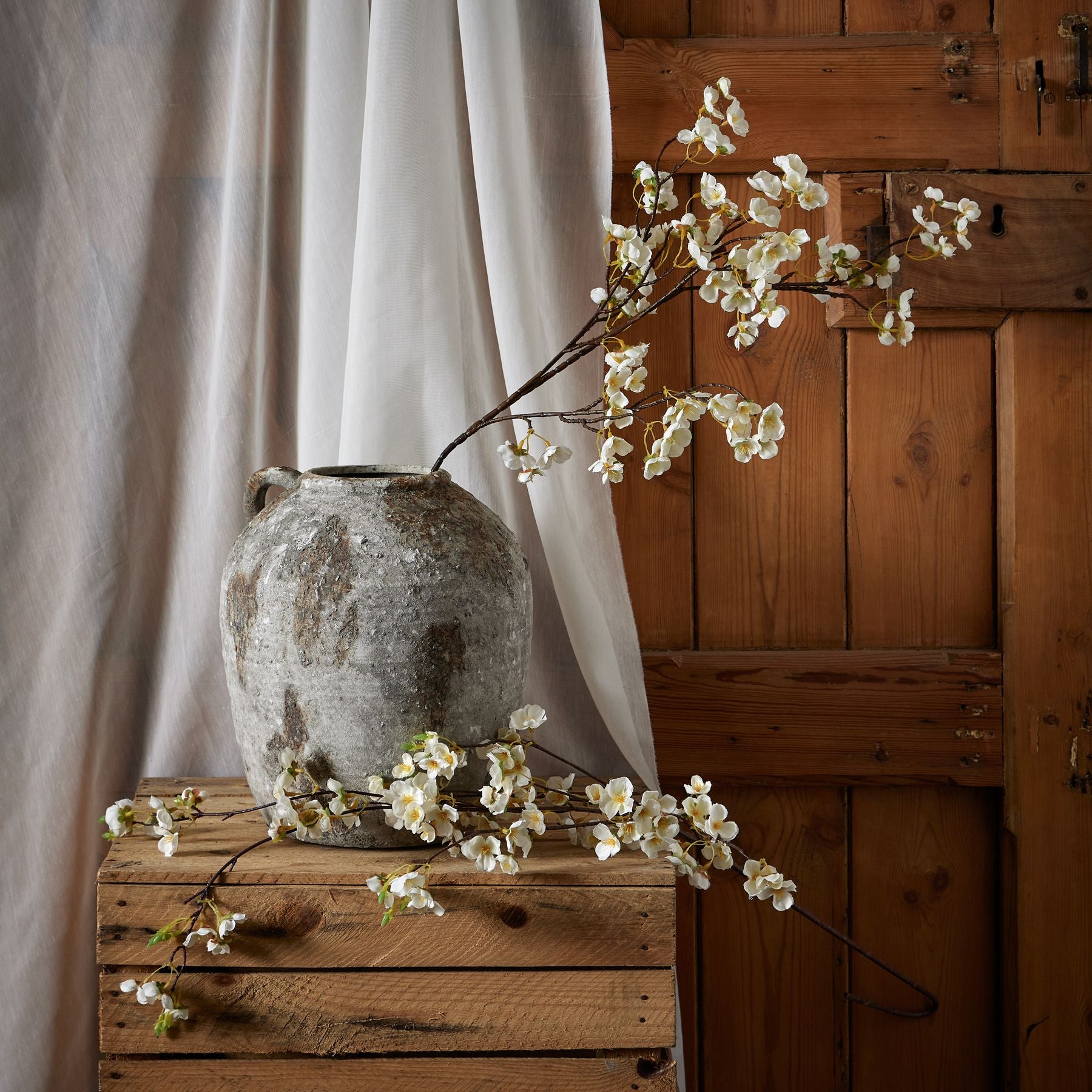 White Japanese Blossom_5888