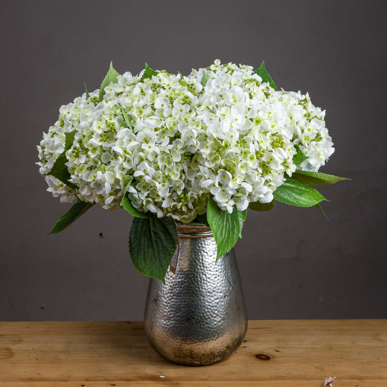 White Lace Cap Hydrangea_5891