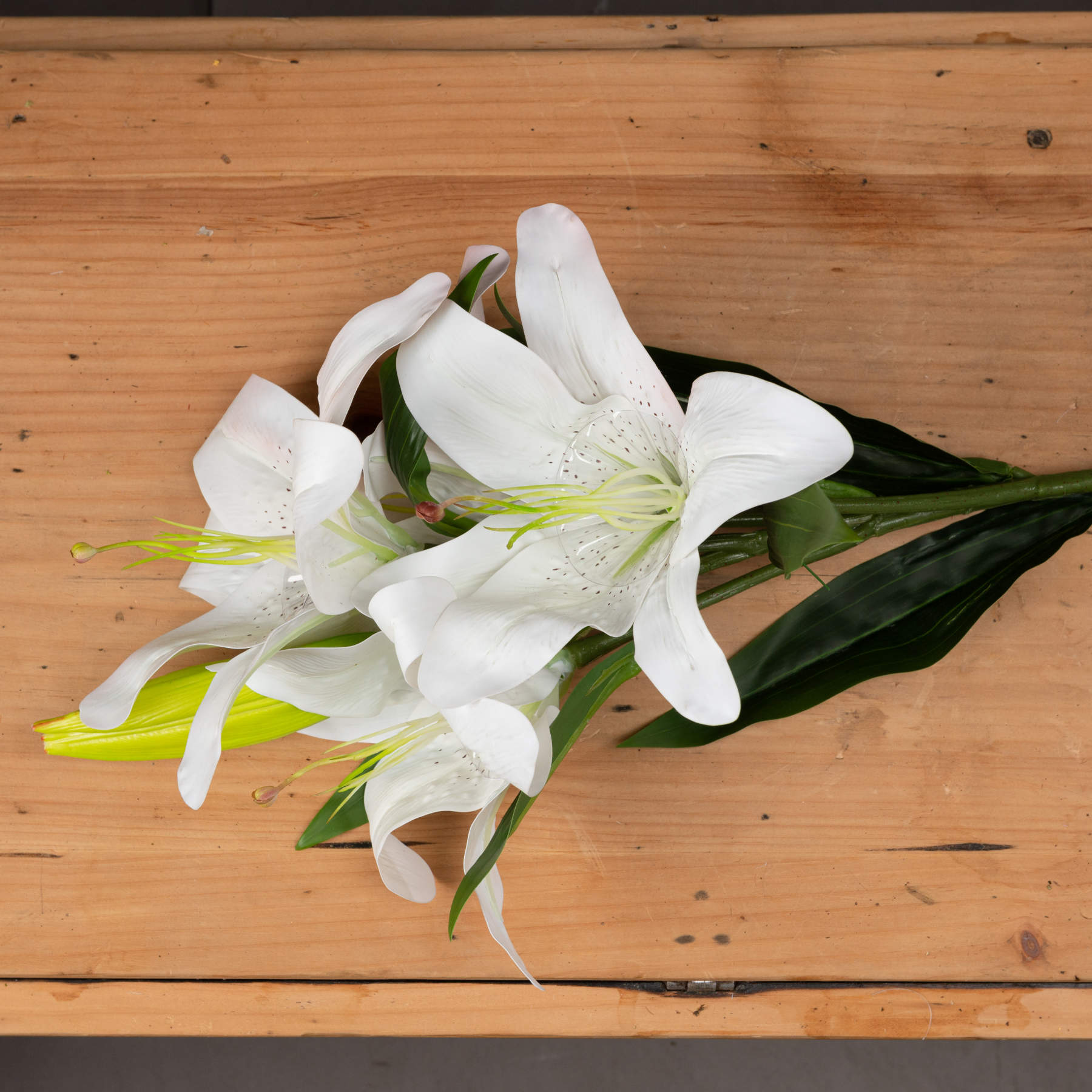 White Lily_5897
