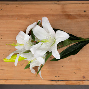 White Lily_5897