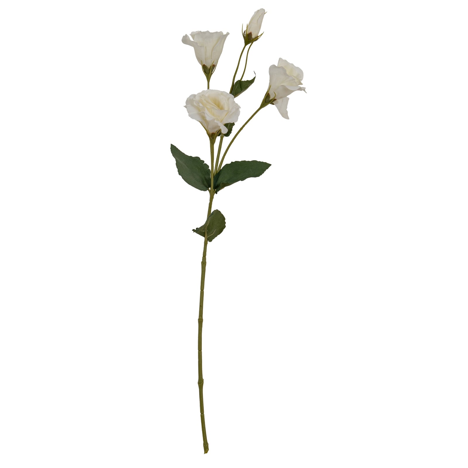 White Lisianthus Spray_5902