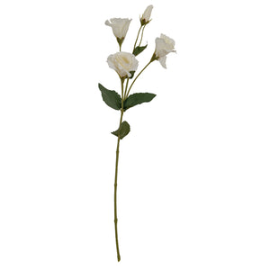 White Lisianthus Spray_5902