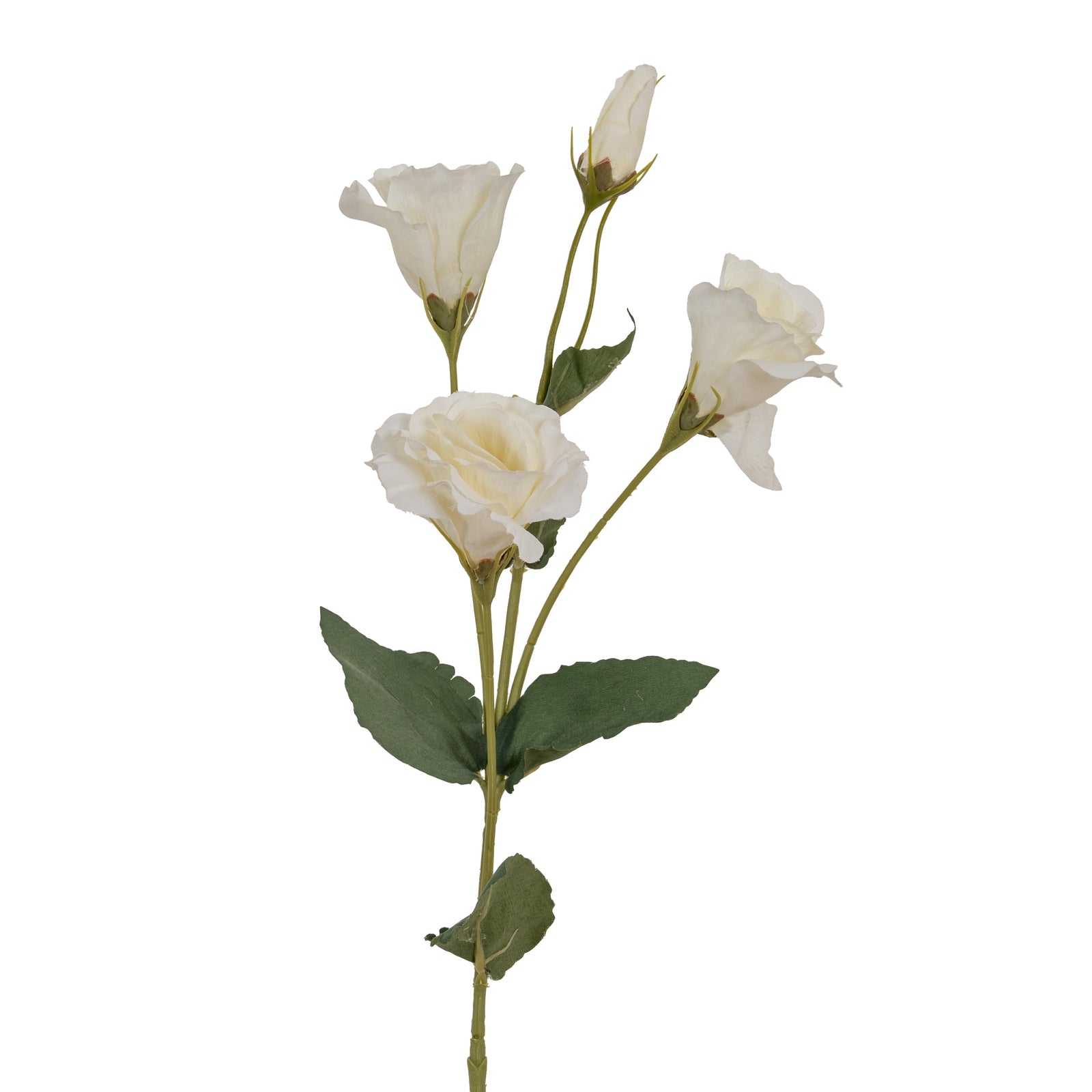 White Lisianthus Spray_5901