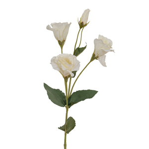 White Lisianthus Spray_5901