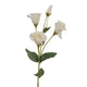 White Lisianthus Spray_5901