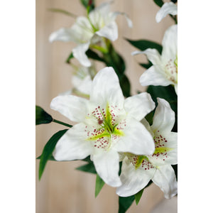 White Madonna Lily Spray [cid:23846-d]