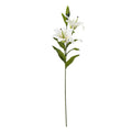 White Madonna Lily Spray [cid:23846]