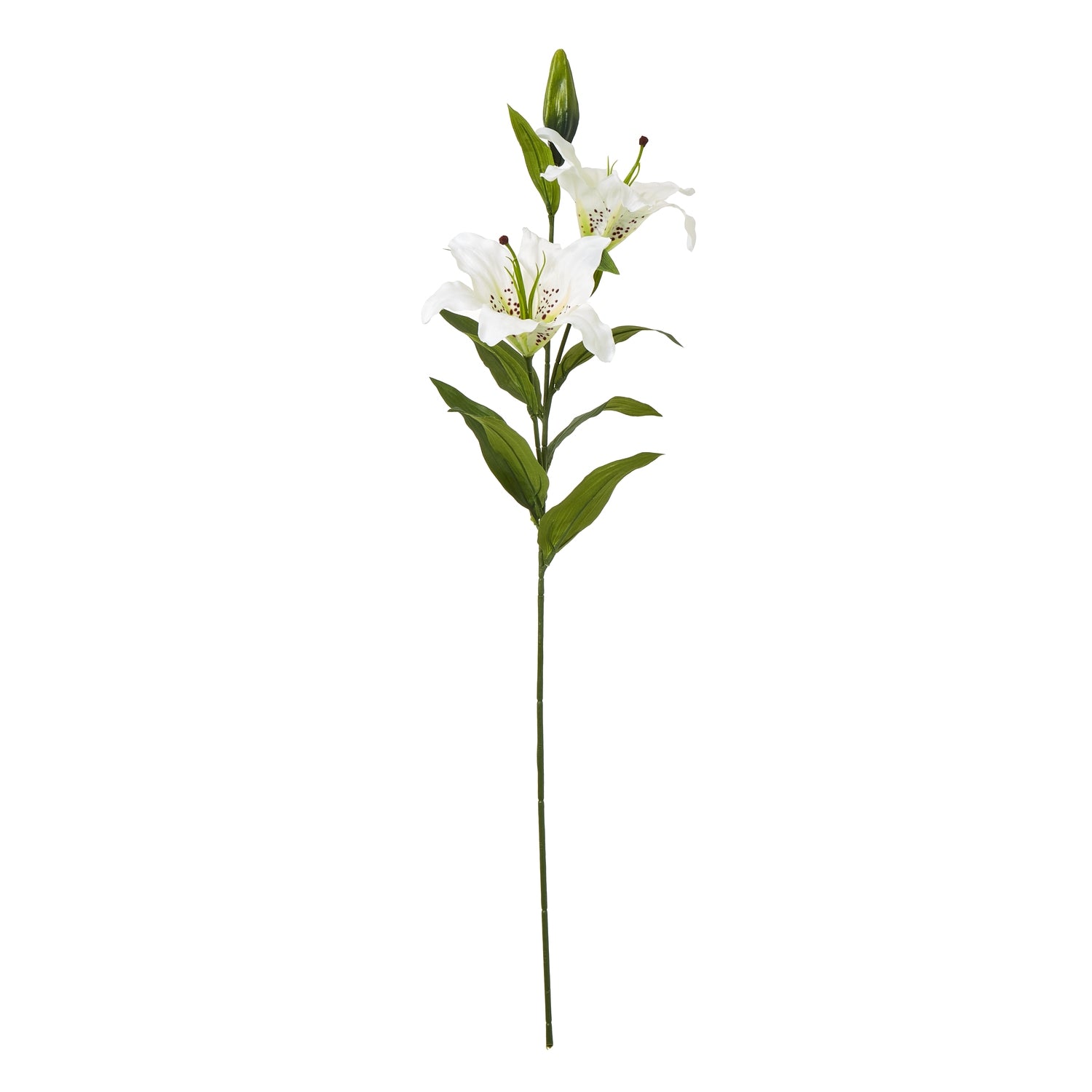 White Madonna Lily Spray [cid:23846]