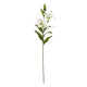 White Madonna Lily Spray [cid:23846]
