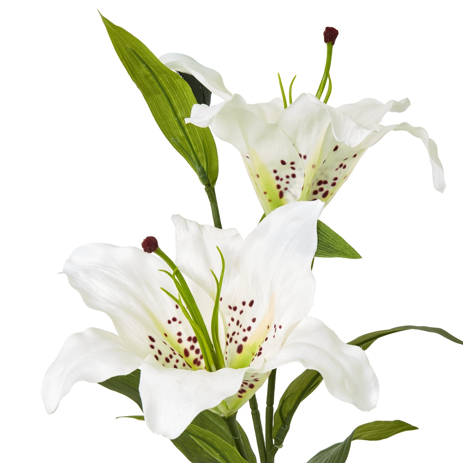White Madonna Lily Spray [cid:23846-a]