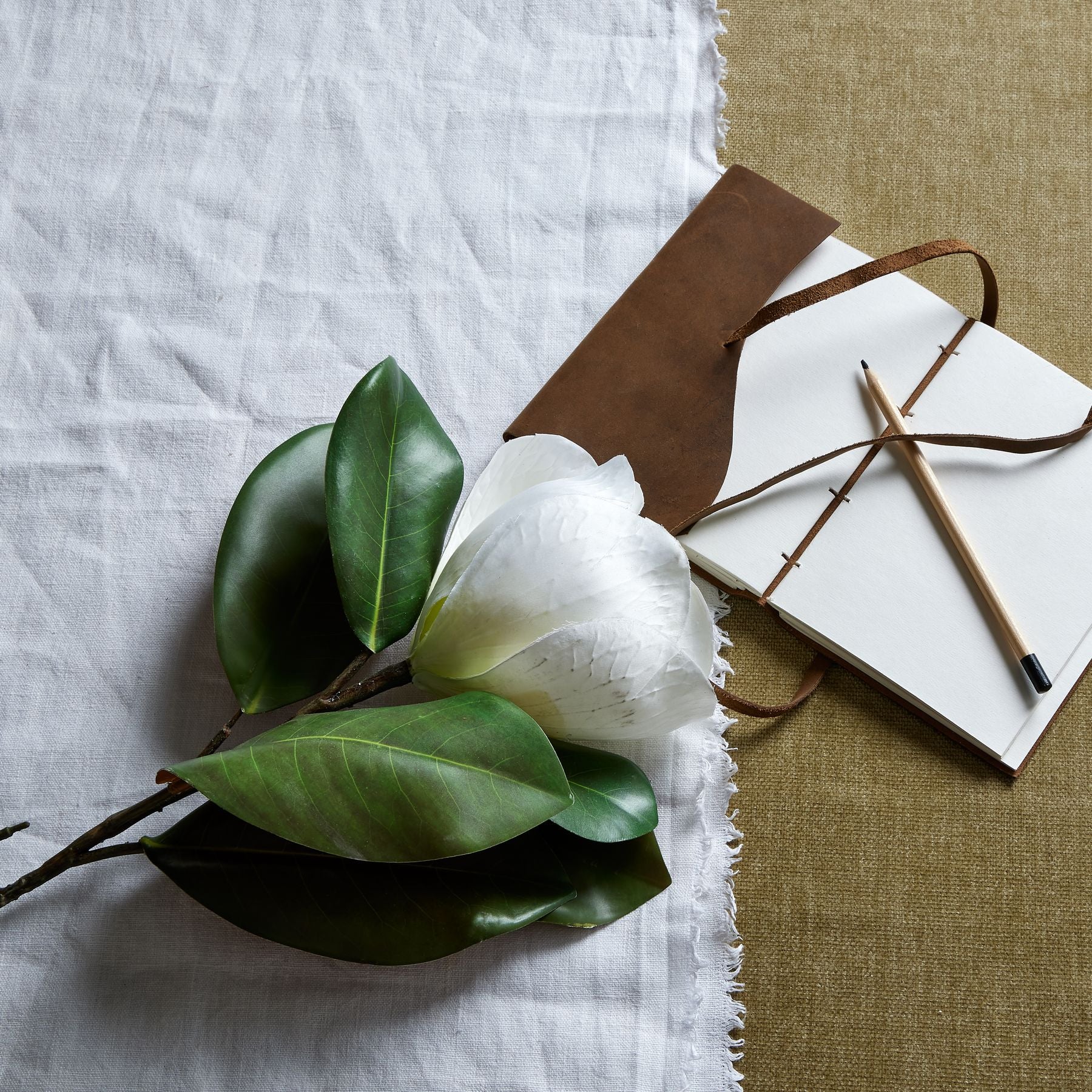 White Magnolia Stem_5909