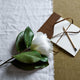 White Magnolia Stem_5909