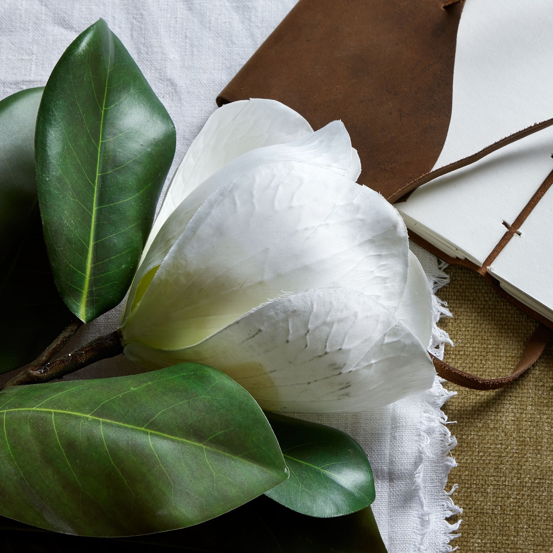 White Magnolia Stem_5910
