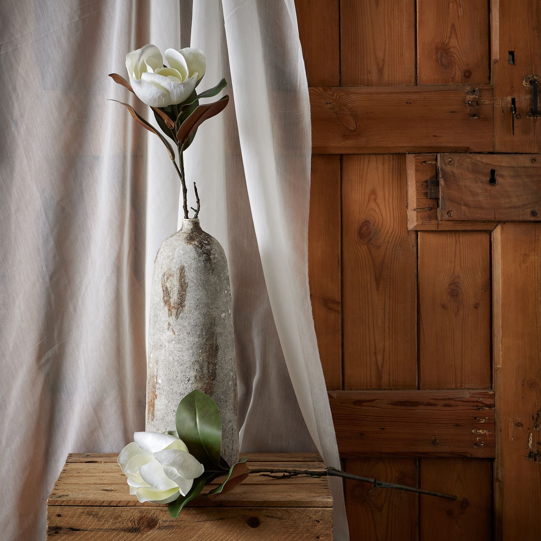 White Magnolia Stem_5911