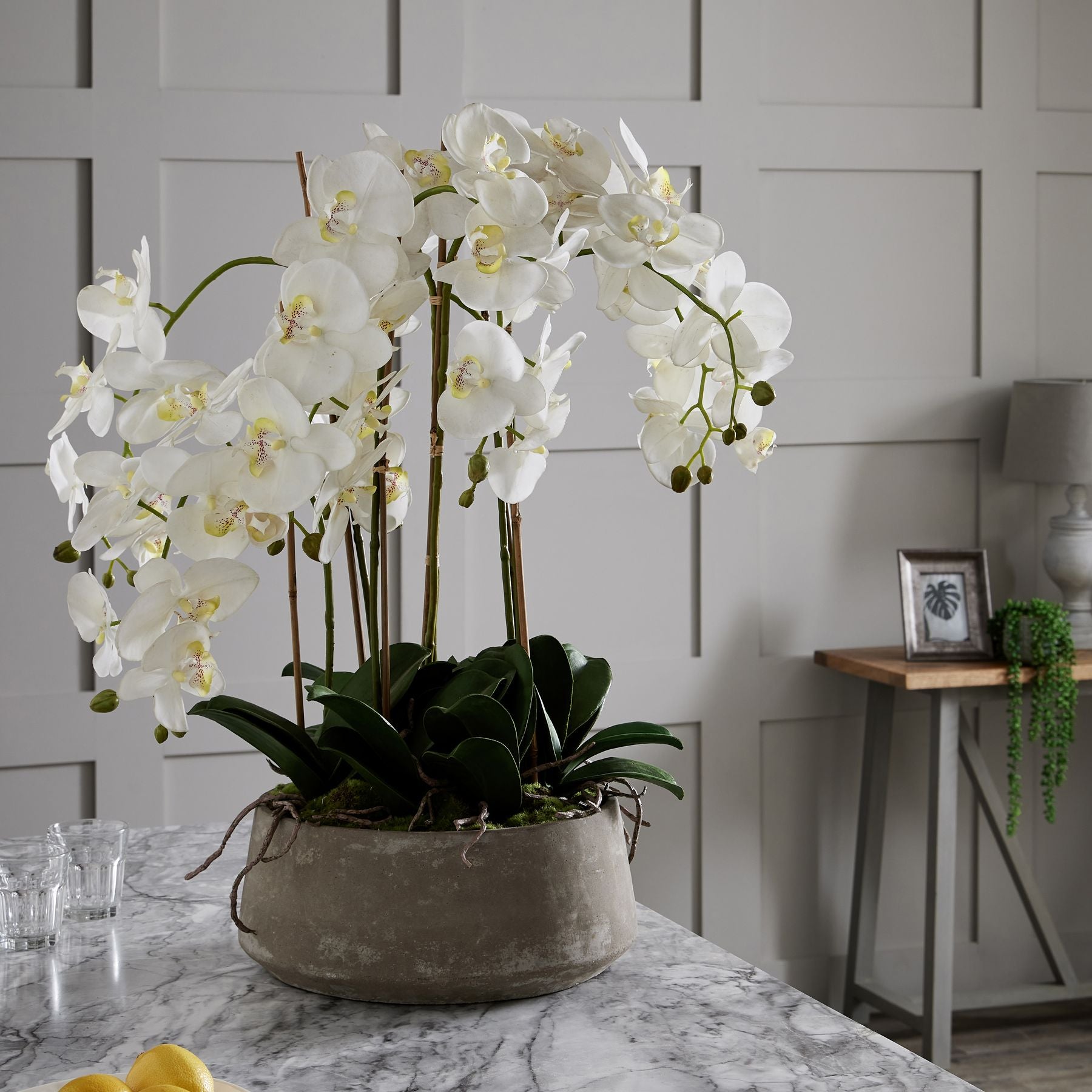 Large White Orchid In Stone Pot [cid:19960-c]