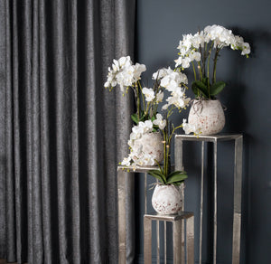 White Orchid In Stone Pot [cid:19956-c]