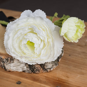 White Ranunculus Spray [cid:18941-b]