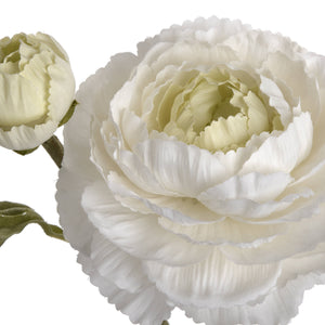 White Ranunculus Spray [cid:18941-d]