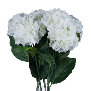 White Small Head Hydrangea_5940