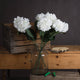White Small Head Hydrangea_5937
