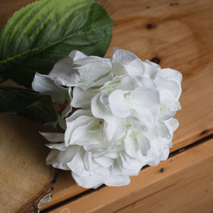 White Small Head Hydrangea_5939