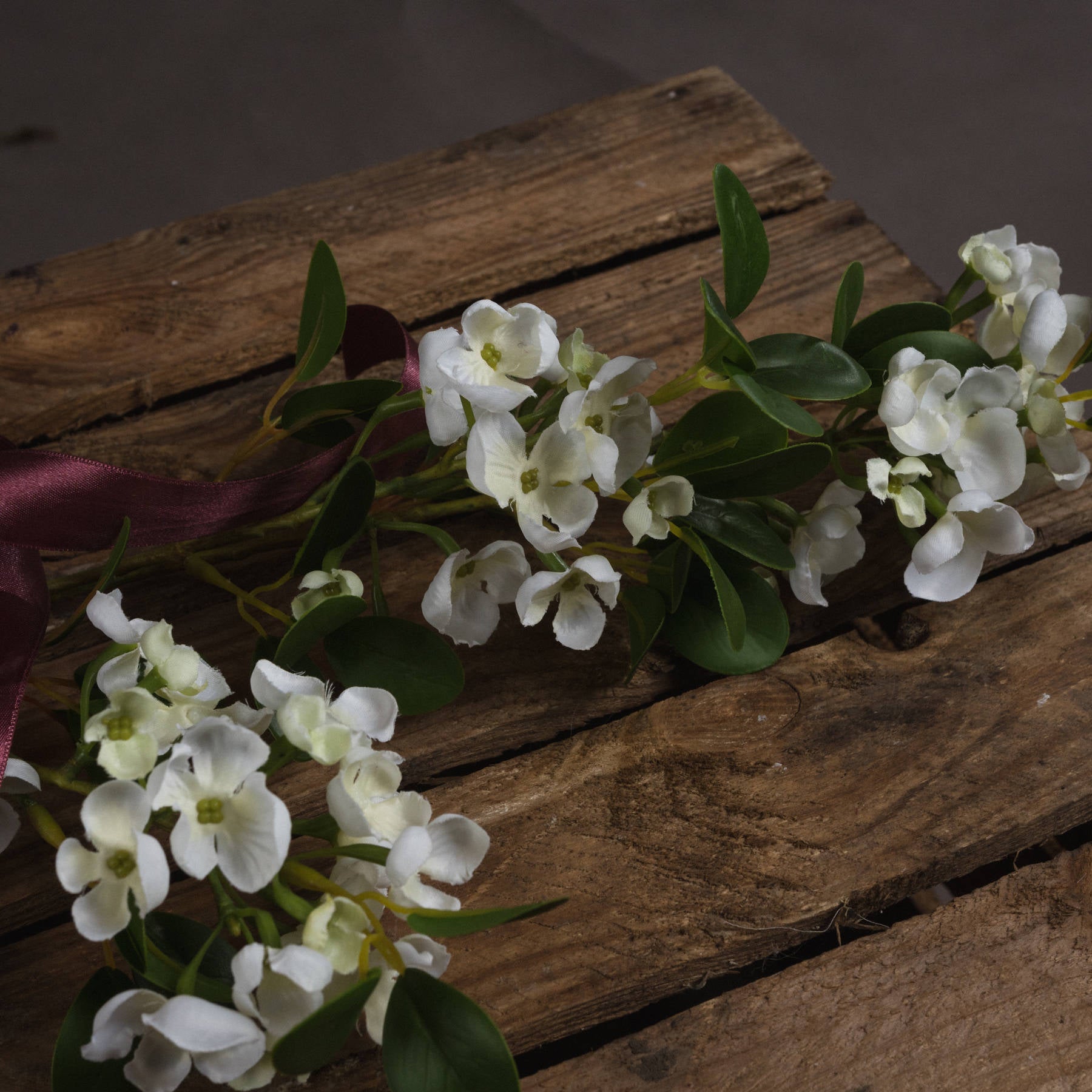 White Spring Mock Orange Flower_5944