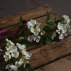 White Spring Mock Orange Flower_5944