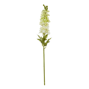 The Natural Garden Collection Elatum Delphinium_5685