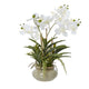 White Vanda Orchid Plant In Ceramic Pot_5947