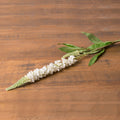 White Veronica Stem_5951